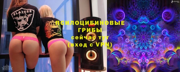 шишки Алзамай
